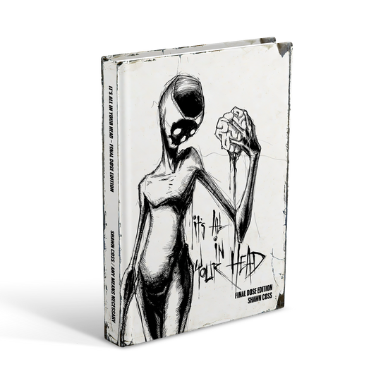 Vol 3 - It's All In Your Head Art Book