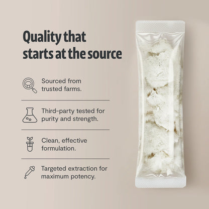 Organic Lion’s Mane Mushroom Powder